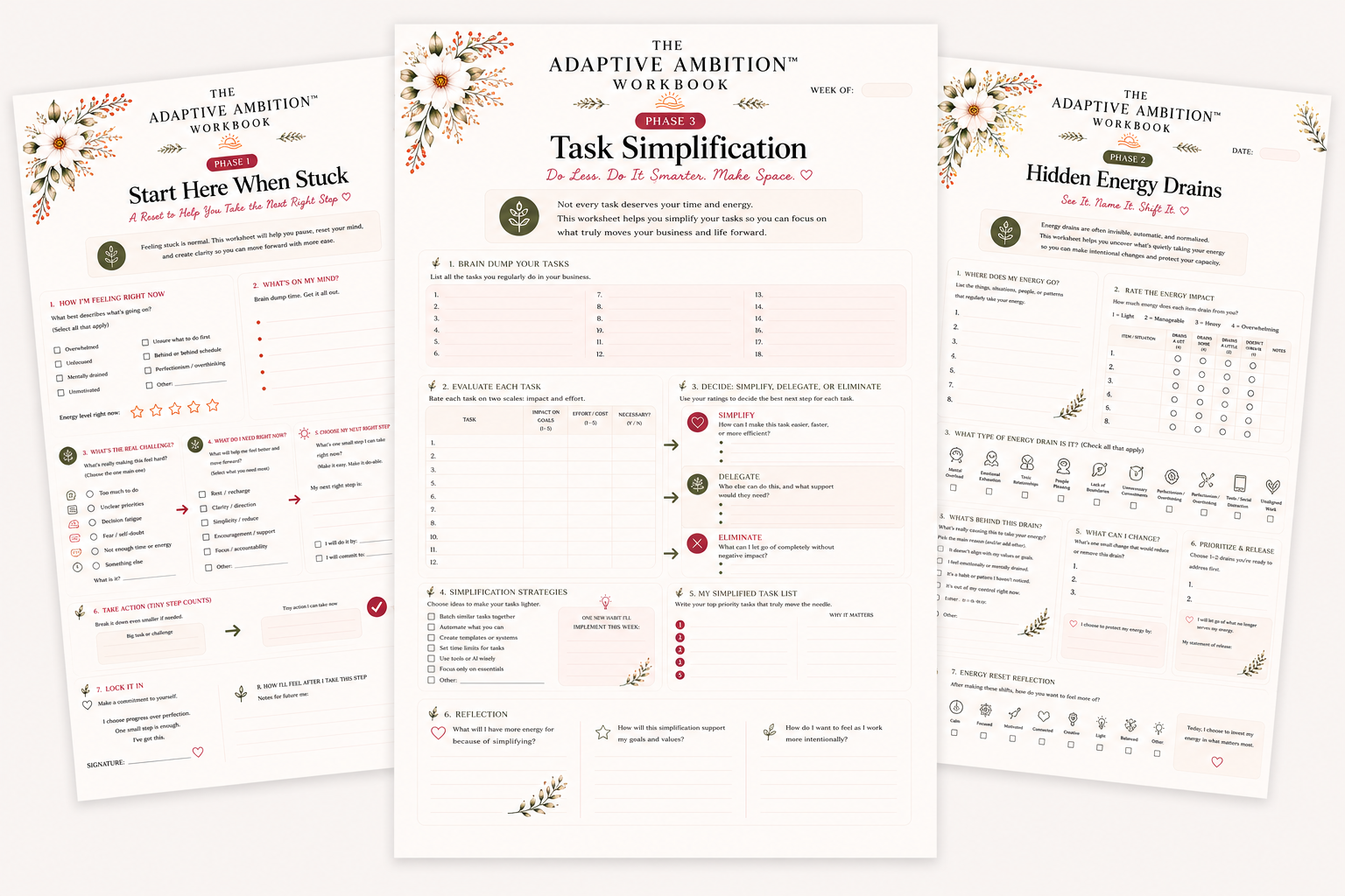 Adaptive Ambition Workbook